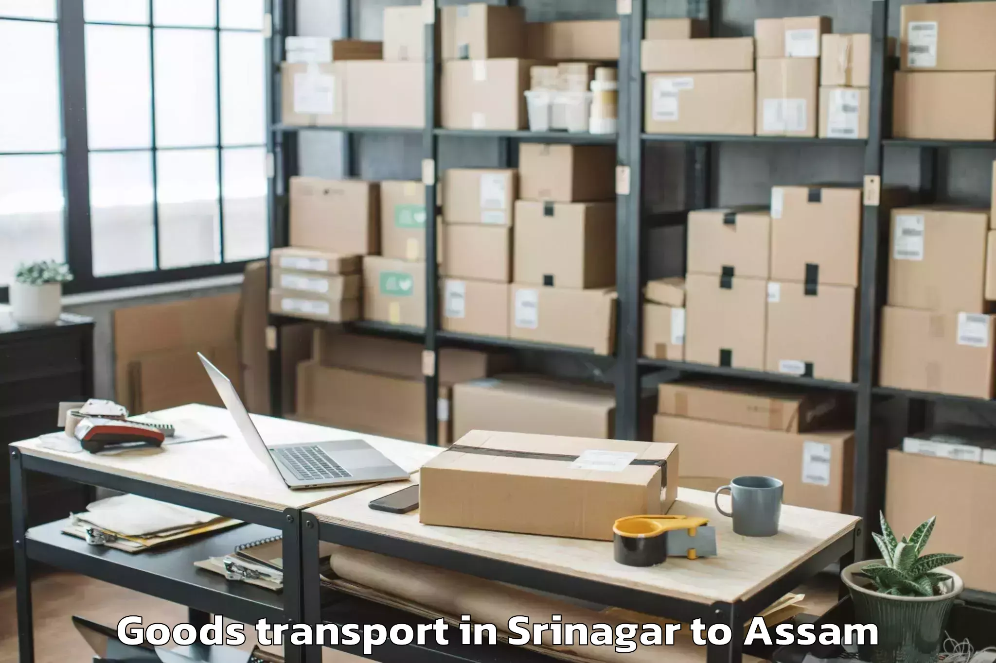 Expert Srinagar to Golaghat Goods Transport